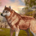 野狼动物模拟器安卓版