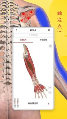 3DBody解剖iPhone版截屏2