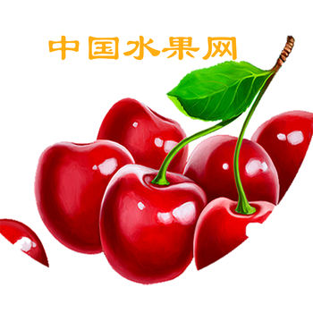 中国水果网iPhone版