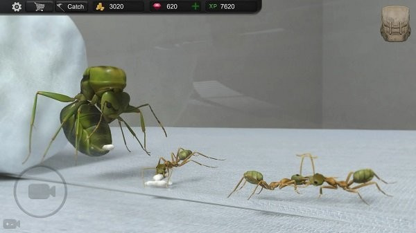 蚂蚁模拟大亨安卓汉化版游戏截屏2