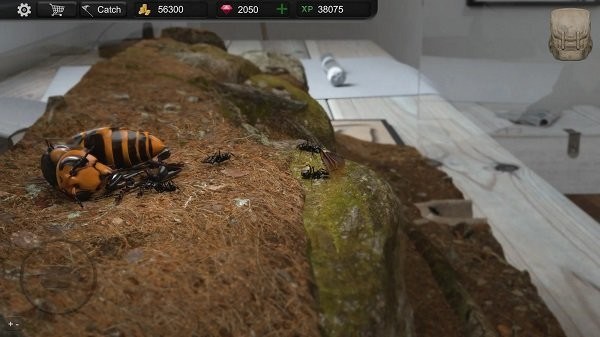 蚂蚁模拟大亨安卓汉化版游戏截屏1
